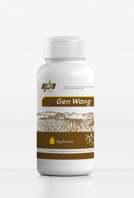 Gen Wang
