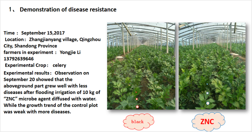 Field experiment